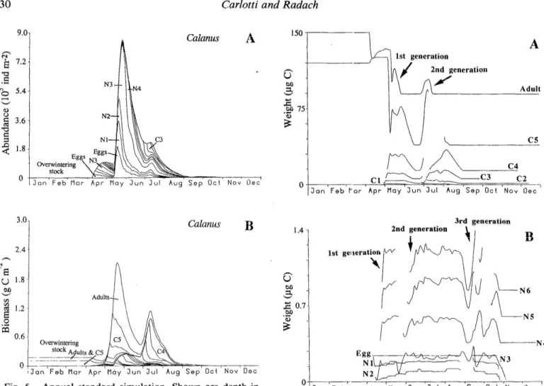 Fig.  5.  Annual  standard simulation.  Shown are depth-in-  tegrated and cumulative abundances  and biomasses  of the stages  of  Calanus  jinmarchicus