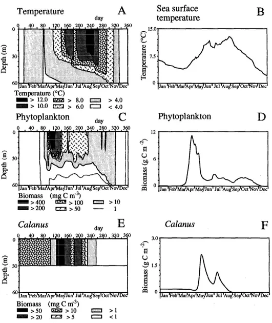 Fig.  4.  Annual  standard  simulation.  Shown  are  simulated  profiles  of  temperature  and  evolution  of  upper-layer  temperature  and  simulated  profiles  and integrated  biomass  of  phy-  toplankton  standing  stock  and  of  Calanus finmarchicus