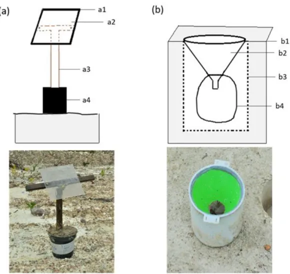 Fig. 2. (a) Sticky trap. a1: clear Plexiglas® plate (0.0225 m²); a2: sticky gel over a thin  359 