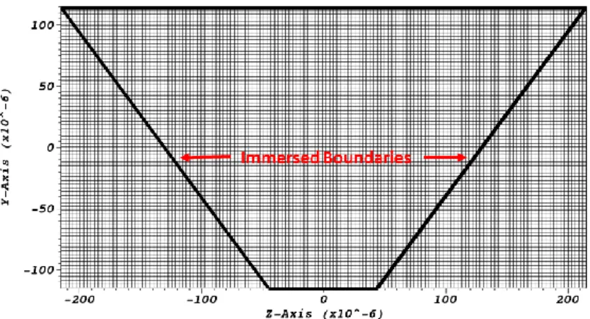 Figure  5: The  geometry of the numerical  microchannel for the  turbulent  mixing simulations  showing the three  dimensional trapezoidal microchannel, the dimension of the cross-section at x = 0 and the mesh in the yz plane  and location of immersed boun