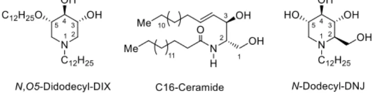Fig. 2. Natural CERT cargo lipid C16-Ceramide (center), DIX-type iminosugar (left) and N-dodecyl-DNJ (right) protein binders