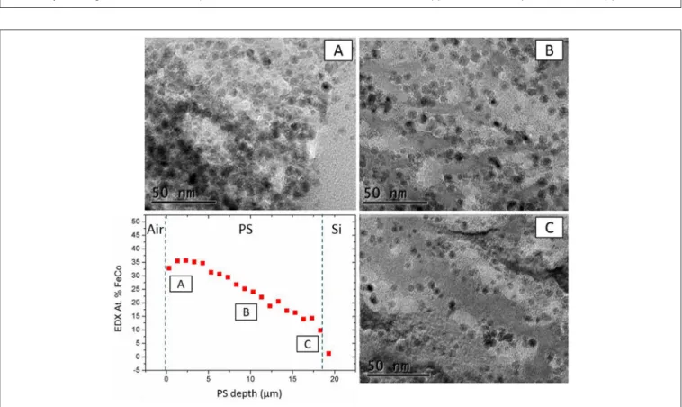 FIGURE 3 | SEM images of PS/FeCo nanocomposites observed with back-scattered electrons detector (a), and with secondary electrons detector (b).