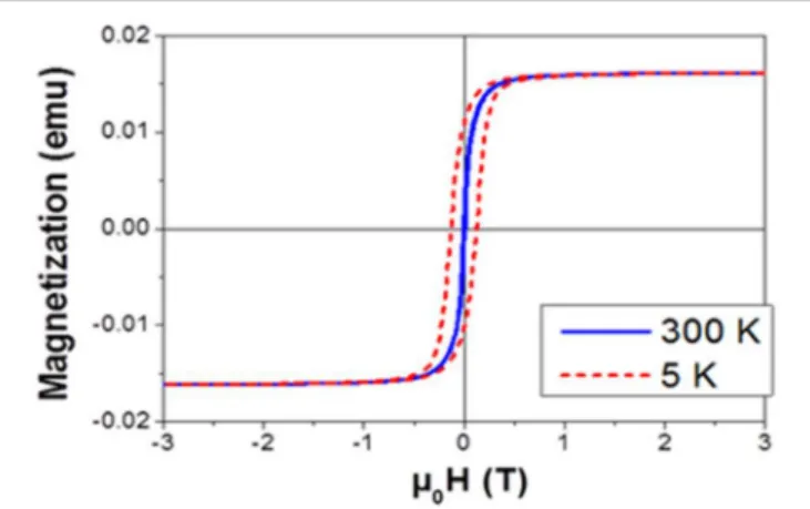 FIGURE 5 | Magnetization curves of the filled PS at 300 K (blue solid line) and 5 K (dashed red line).