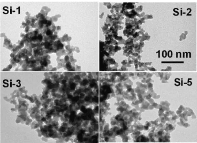 Fig. 9 TEM imaging of isolated silica Si-1, Si-2, Si-3 and Si-5.
