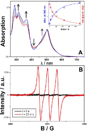 Figure 2.   A.  Evolution  of  the  absorption  spectrum  of  RuTX  in  solution  of  ACN  upon  irradiation at 532 nm