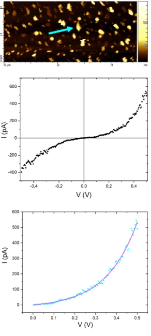 Figure 7. Topographic image for Per 2