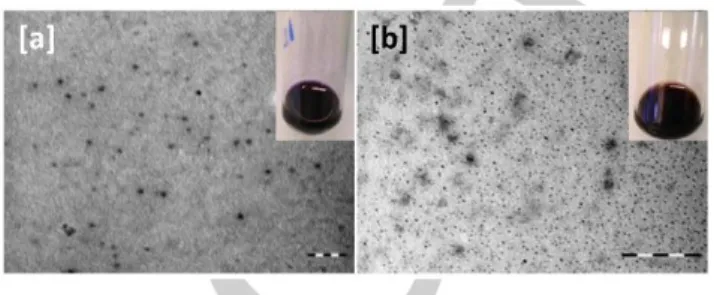 Figure 12.TEM images of [a] TTF-TCNQ/n-Oct and [b] TTF-TCNQ/n-Oct/trans- TTF-TCNQ/n-Oct/trans-2-decenoic acid nanoparticles from the 2.5 g.L -1  solutions in ethanol (inserts): 