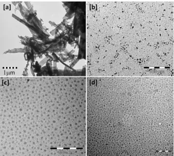 Figure  4.  TEM  images  of  TTF[Ni(dmit) 2 ] 2   nanoparticles  prepared  in  acetonitrile/acetone (1/1) and in presence of (BMIM)BF 4  following the reaction: 