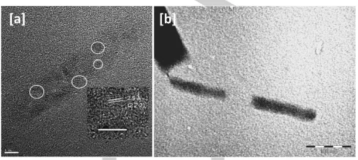 Figure 8. [a] HRTEM image of 3–5 nm aggregated crystalline nanoparticles of  (TMTSF) 2 ClO 4 /[Me(n-Oct) 3 N]ClO 4 ,  Inset:  one  indexed  4.5  nm  nanoparticle,  (scale bar = 5 nm)