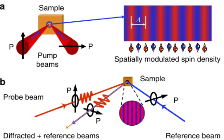 Figure 1 | Gate control of the spin-diffusion length. (a) Variation of the spin-diffusion length L s ¼ p ﬃﬃﬃﬃﬃﬃﬃﬃﬃDsTs