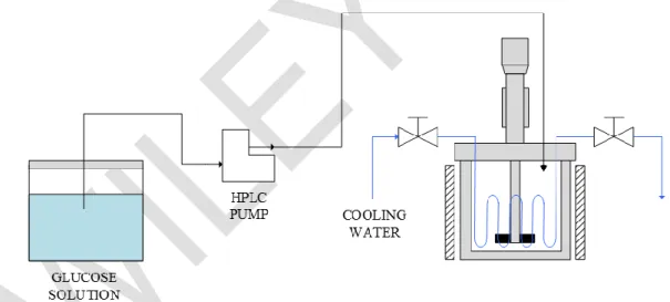 Figure 2. Scheme of the semi-batch reactor and the solution injection system. 