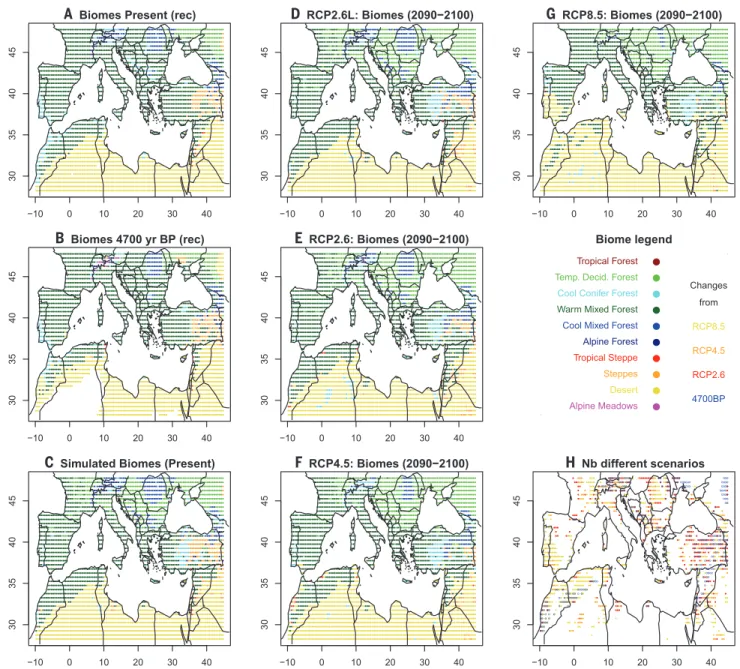 Fig. 3. Mediterranean biome maps. Distribution of Mediterranean biomes (A) reconstructed (rec) from pollen for the present; (B) reconstructed from pollen for 4700 yr B.P.; (C) simulated by the BIOME4 model for the present; and (D to G) for scenarios RCP2.6