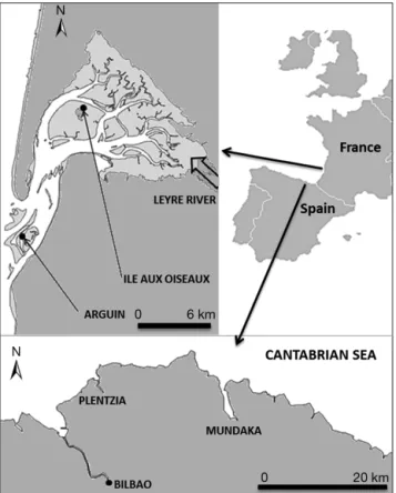 Fig. 1. Sampling sites of (a) Arguin and Ile aux Oiseaux in  Arcachon Bay, and (b) Mundaka Estuary