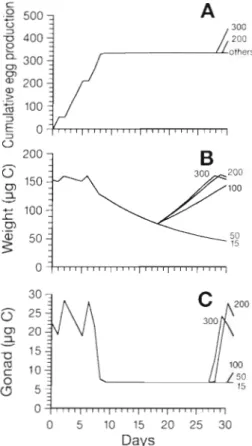 Fig. 9. Simulated  (A) cumulative egg productions  of  Calanus  finmarchicus  females, ( B )  carbon body weight and (C) gonad  weight  a t  different food  conditions