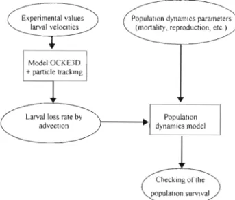 Fig.  12. Conceptual  schema  of  the  physico-biological  model  (Rey 1995) (see text  for explanation) 