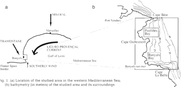 Fig.  1.  ( a )   Location  of  the studled area in  the western  Mediterranean  Sea; 