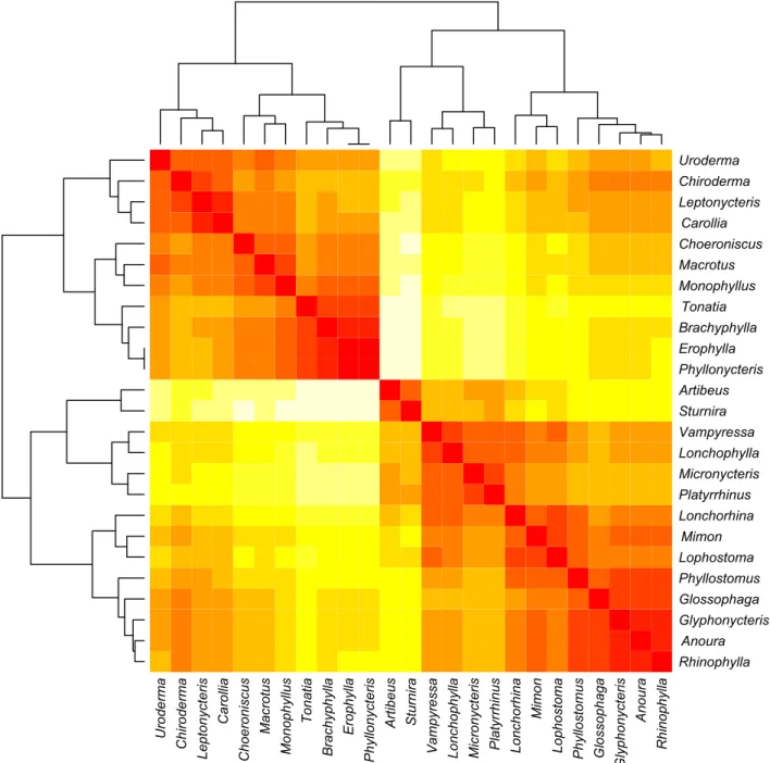 Fig. 3. Heatmap and hierarchical cluster showing the pairwise similarities between the 25 Phyllostomidae genera with more than one species.