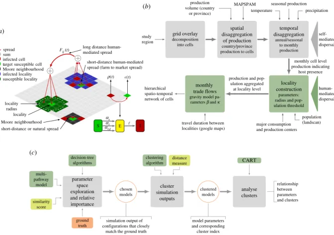 Figure 1b provides a schematic of the network construction. The first step was to estimate monthly production volume of tomato, eggplant and potato for each cell