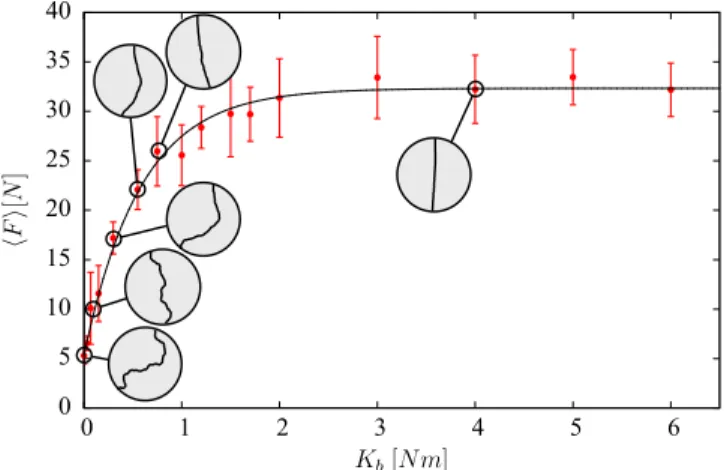 Figure 7 shows F  as a function of K b for s = 0.86. We see that the mean force increases from a weak value F 0 at very low values of K b and levels off to a constant value H at large values of K b 