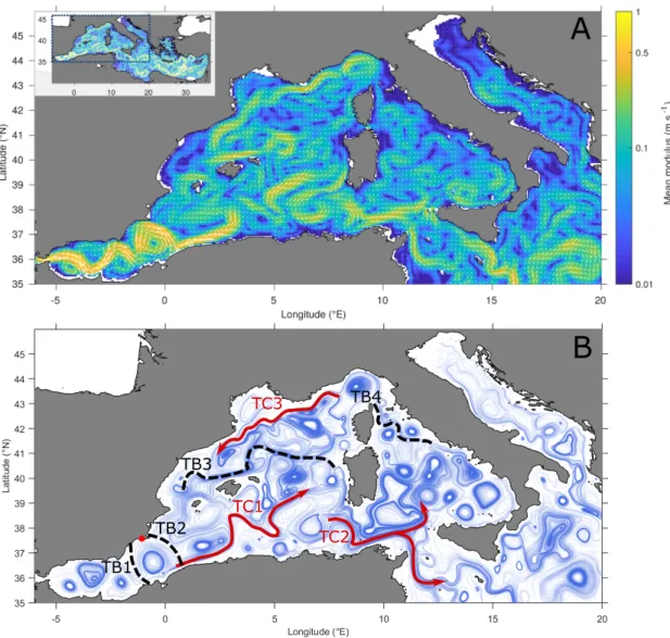 FIG. 7: Maps of the study area covering the western Mediterranean Sea. Panel A: Horizontal currents direction (thin white arrows) and mean modulus (background colors, in ms −1 ) of the 10 m flow field averaged over one month