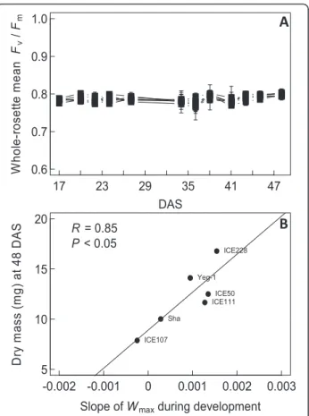 Figure 6 Variation of F v /F m and relationship between W max and growth in six accessions of A