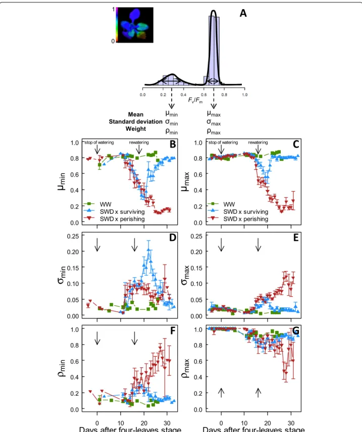 Figure 3 Dynamics of the parameters describing the bimodal distributions. (A) Example of a bimodal distribution composed of two clusters of pixels grouping in two modes