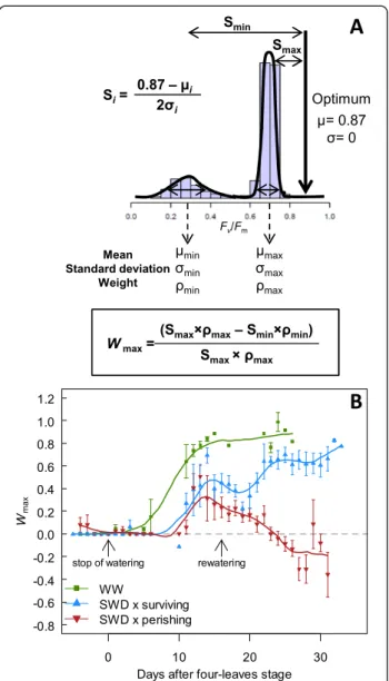 Figure 4 Dynamics of spatial heterogeneity of whole-plant photosynthetic efficiency during development and severe water deficit