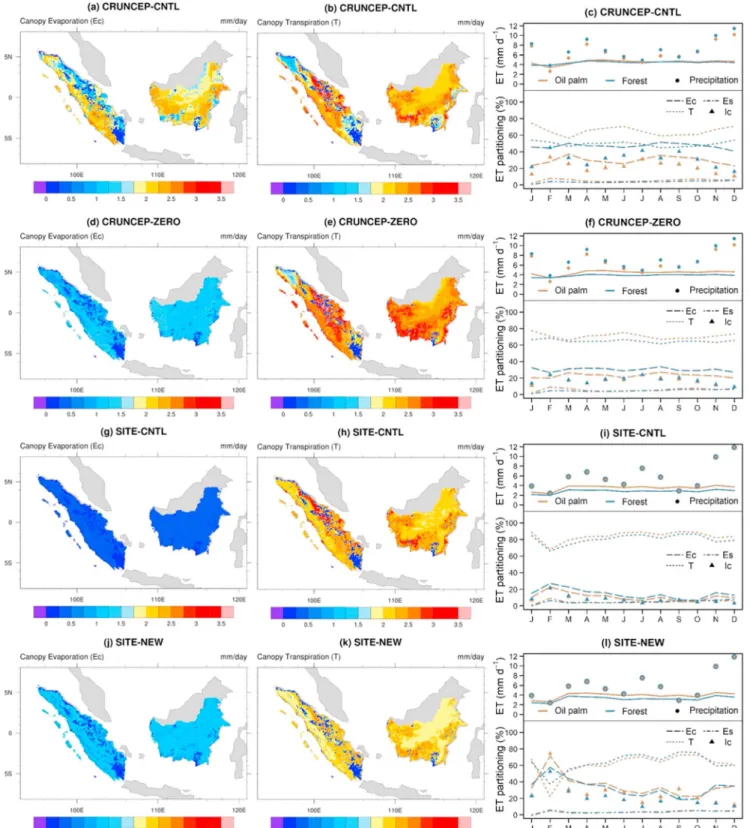 Figure 7. Regional simulations with the Community Land Model version 5 (CLM5) for Sumatra and Kalimantan: (a – c) CRUNCEP forcing with CLM5 default nearest time interpolation and uniform interception parameterization (CRUNCEP ‐ CNTL: fpimx = 1, dewmx = 0.1