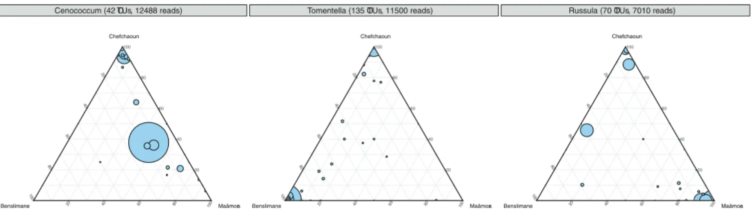 Fig 2. Distribution of fungal OTUs among habitats (Maaˆmora, Benslimane, Chefchaoun) at genus level in ternary plots