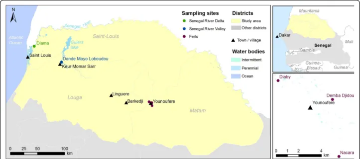 Fig. 1 Location of the three sampling sites in northern Senegal. Top-right corner: Senegal map and area of interest (in yellow)