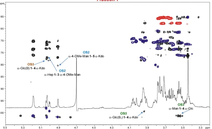 Figure 3. Zoom-in of the overlapped 1 H, 1 H– 13 C HMBC (black) and 1 H– 13 C HSQC (purple and red) NMR spectra of the fraction Y; the key inter-residual long- long-range correlations involving sugar moieties are indicated; letters are as in Table 2.