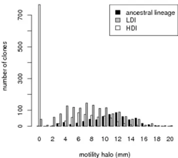 Figure 3. Distribution of motility halo diameter in the two selection treatments and the ancestral lineage.