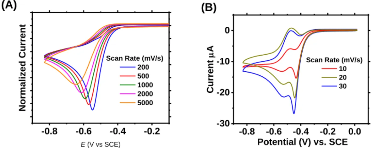Figure 6. Cyclic voltammograms of 1 mM [Cu(TPMA NMe2 )Br] +  in the presence of ethyl α-