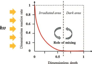 Fig. 2. Light attenuation along the direction of light penetration.