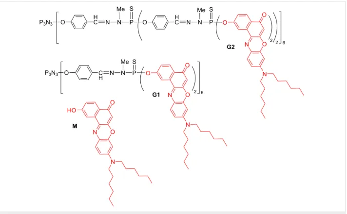 Figure 5: Nile Red derivatives: monomer (M) and two generations of dendrimers.