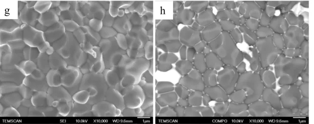Figure 4: SEM SEI micrographs of fracture surface of: a) Sample 1 sintered at 1000°C in a  furnace; b) Pellet 2, Sample 1 sintered by SPS at 800°C; c) Pellet 3, Sample 1 sintered by SPS 