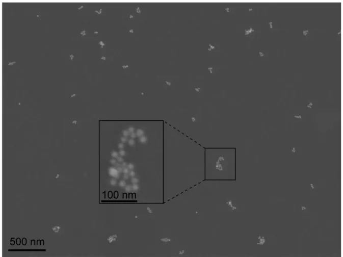 Figure  3.  SEM  image  of  sample  prepared  in  the  same  conditions  as  sample  S2,  and  deposited  on  a  conducting  MoS 2 substrate
