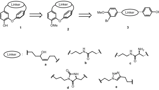 Fig. 2. Design strategy of a new series of tedarene A analogues. 