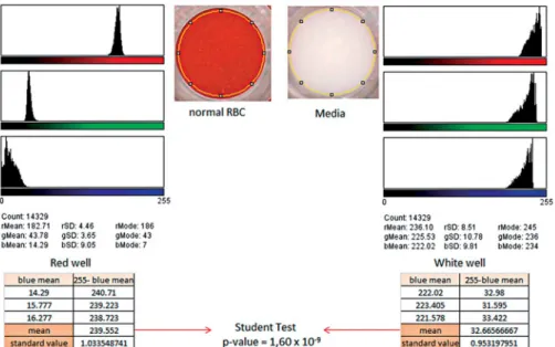 Figure 1. Analysis of the scanned image of the bottom of a 96-well plate by ImageJ V R , the red well was obtained with normal RBC following the protocol described in the text