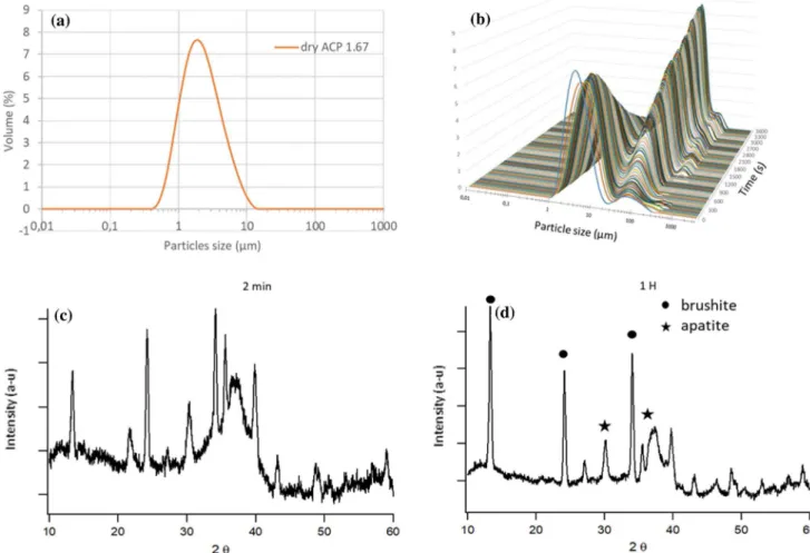 Fig. 7 Long term XRD evolution of the powder (ACP 1.67) in water, from 0 to 54 h.