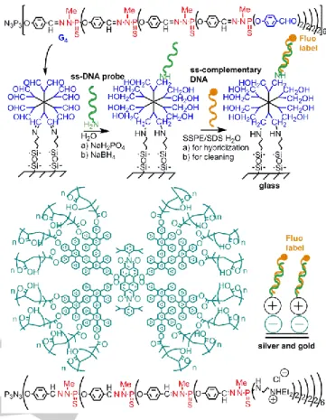 Figure  17.  Examples  of  fluorescent  phosphorhydrazone  dendrimers  used  as  sensors for nitroaromatic compounds