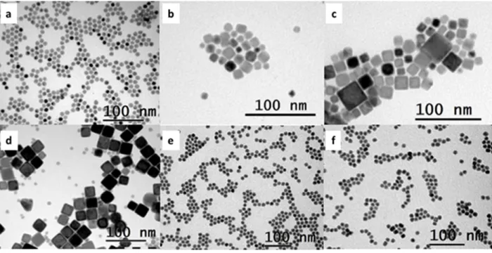 Figure 1. TEM micrographs of  Fe 1-x Co x -NPs with x= (a) 0.5 ; (b) 0.3 ; (c) 0.2 ; (d) 0.1 ; (e) 0  and (f) FeC-NPs