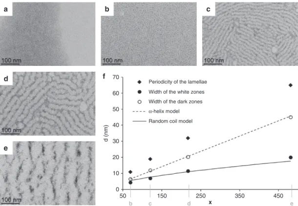Fig. 4 Effect of the degree of polymerization. TEM micrographs of assemblies between platinum nanoparticles and: a PBLG1; b PBLG2; c PBLG3; d PBLG4; and e PBLG5