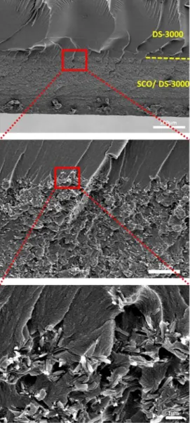 Fig. 4. SEM images showing at different magnifications the interface of the neat polymer  and polymer composite stacks in bimorph objects