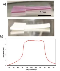 Fig. 5. (a) Colour change and associated bending of a bimorph actuator (850 µm active  layer and 150 µm inactive layer) upon the SCO