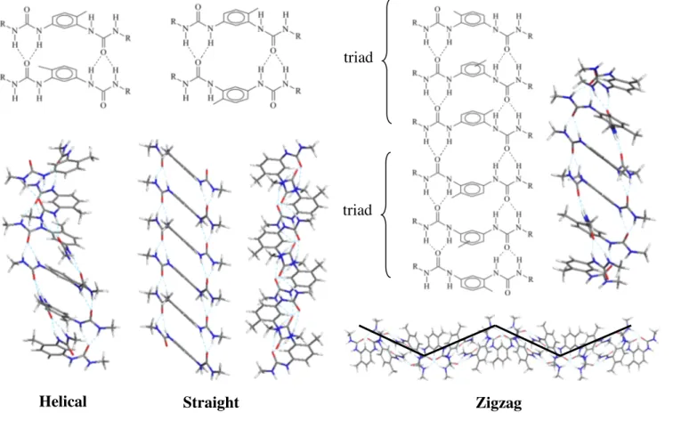 Figure  2:  Orientation  of  the  bis-urea  molecules  in  the  filament  morphologies  discussed  in  this  study