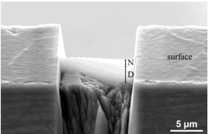 Fig. 3. SEM image of the electron transparent window machined with FIB and sketched in the  previous figure