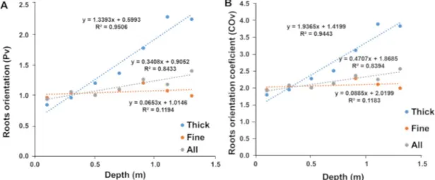 Fig 3. Fine and thick root growth orientation. Relationship between the number of measured root impacts on a vertical face and measured root length density.