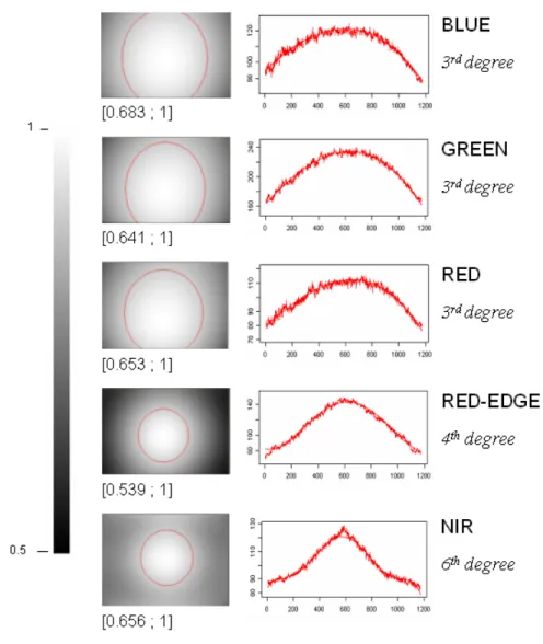 Figure 9. Vignetting filters for the Visible, RDG and NIR images (the circles are iso- iso-contours for a signal loss of 10%), and the corresponding fitted diagonal profiles