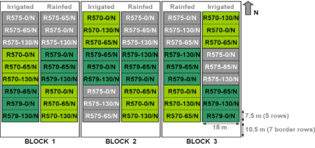 Figure 3. Layout of the La Mare 2007 experimental trials: irrigated/rainfed, three  sugarcane cultivars (R570, R575, R579), and three nutrient inputs (0N, 65N, 130N), three  replications each